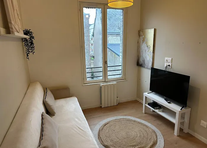 Le Grand Bammeville -- 337 Apartment